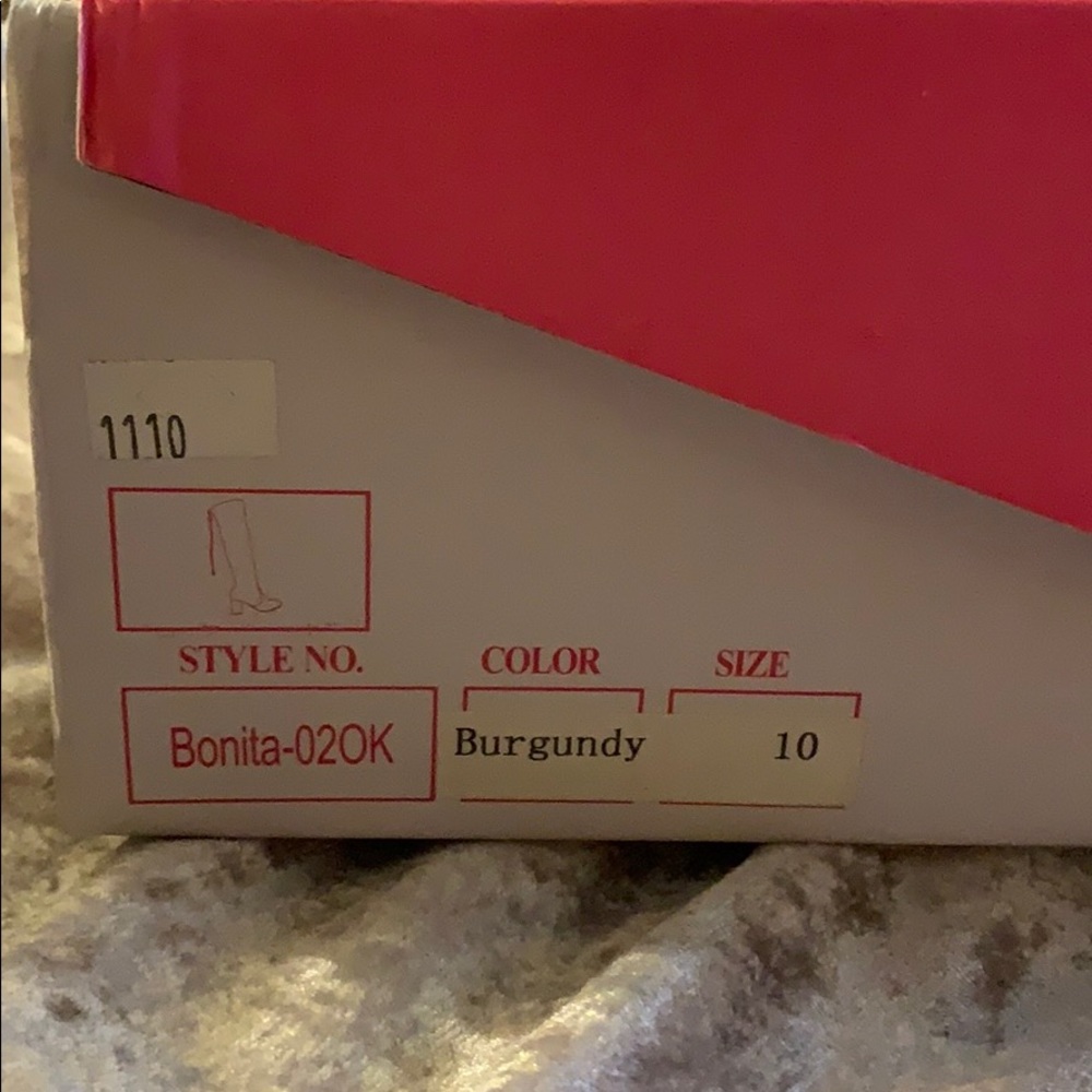 Nature breeze (burgundy) suede knee high